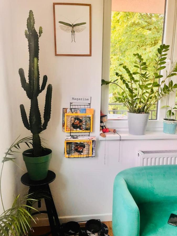 Stylowy Apartament W Centrum Miasta Bydgoszcz Eksteriør billede