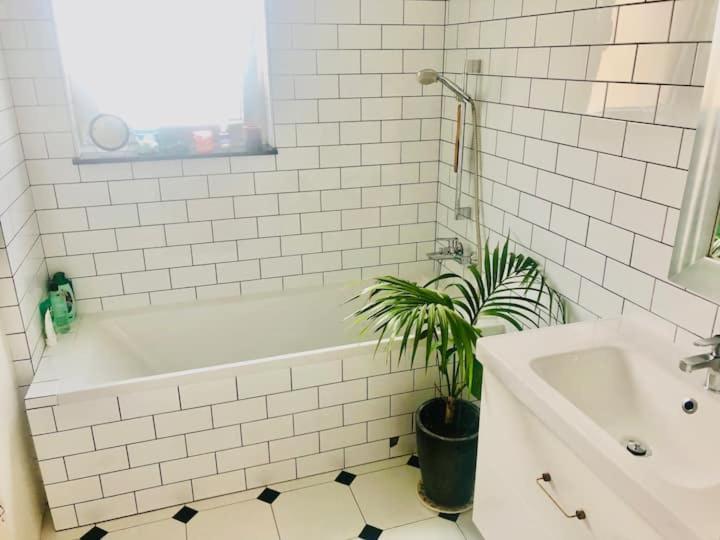 Stylowy Apartament W Centrum Miasta Bydgoszcz Eksteriør billede